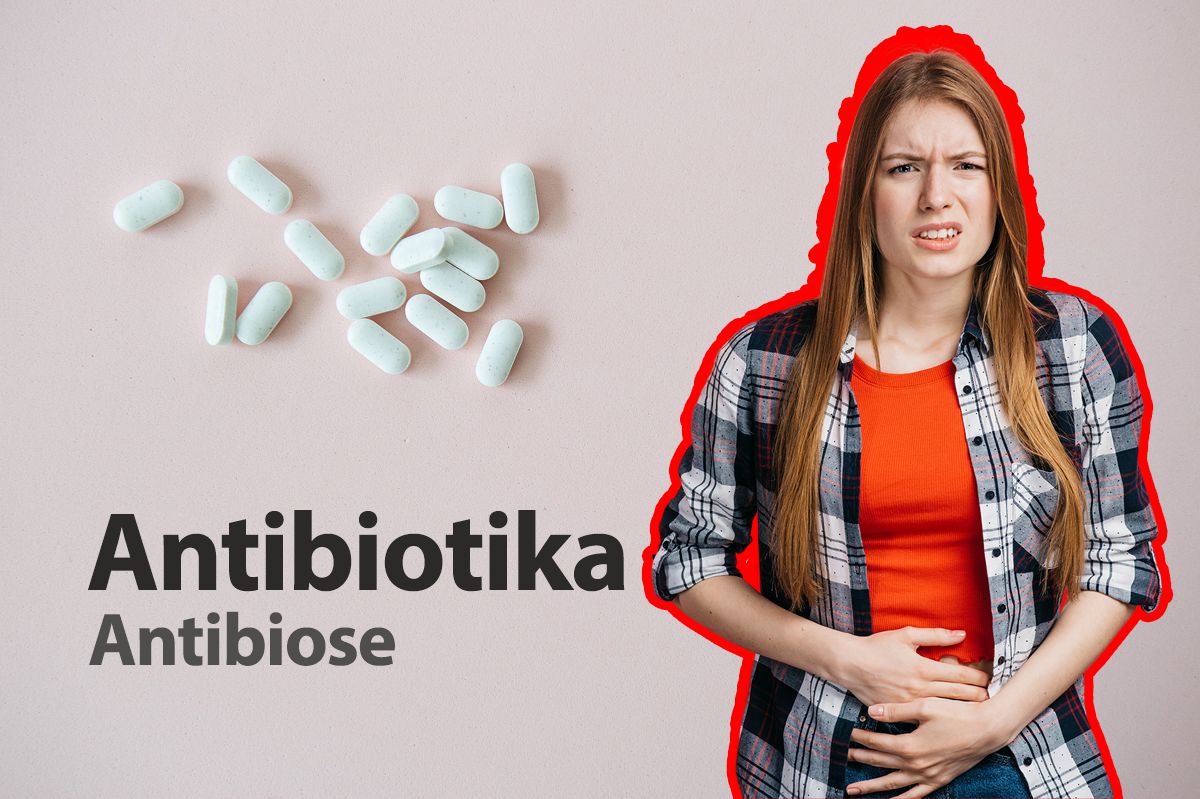 Darmflora – Was bedeutet Antibiose